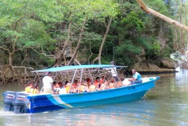 Jednodenní výlet z Punta Cana do Los Haitises, Caño Hondo a Montaña Redonda – dospělí 125 USD, děti 95 USD — Guided tour and outdoor activity