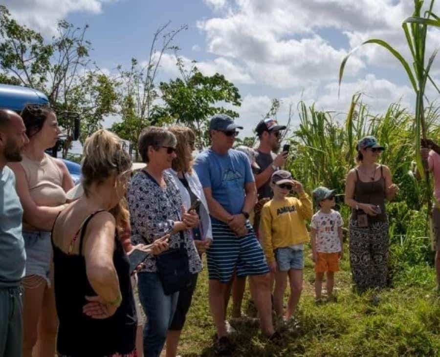 Punta Cana: Safari and City Tour with Horseback Riding — Guided tour and outdoor activity