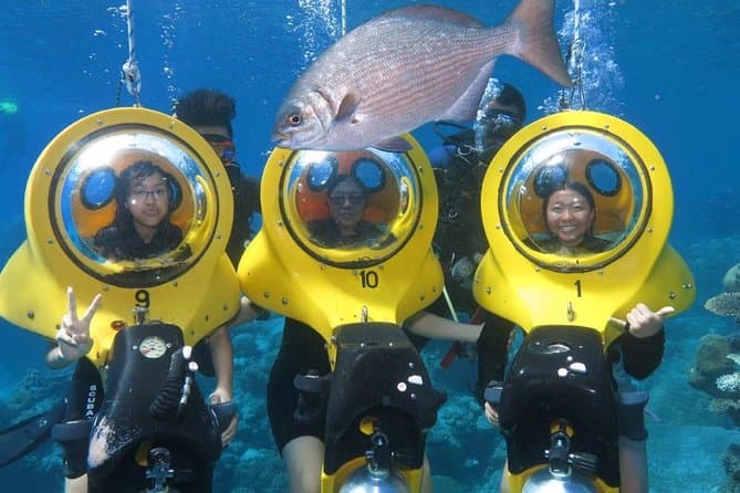 Bayahibe: PADI Open Water Kurs — Guided tour and outdoor activity