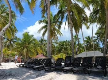 Juan Dolio: Tagesausflug zur Insel Saona mit Mittagessen und offener Bar — Guided tour and outdoor activity