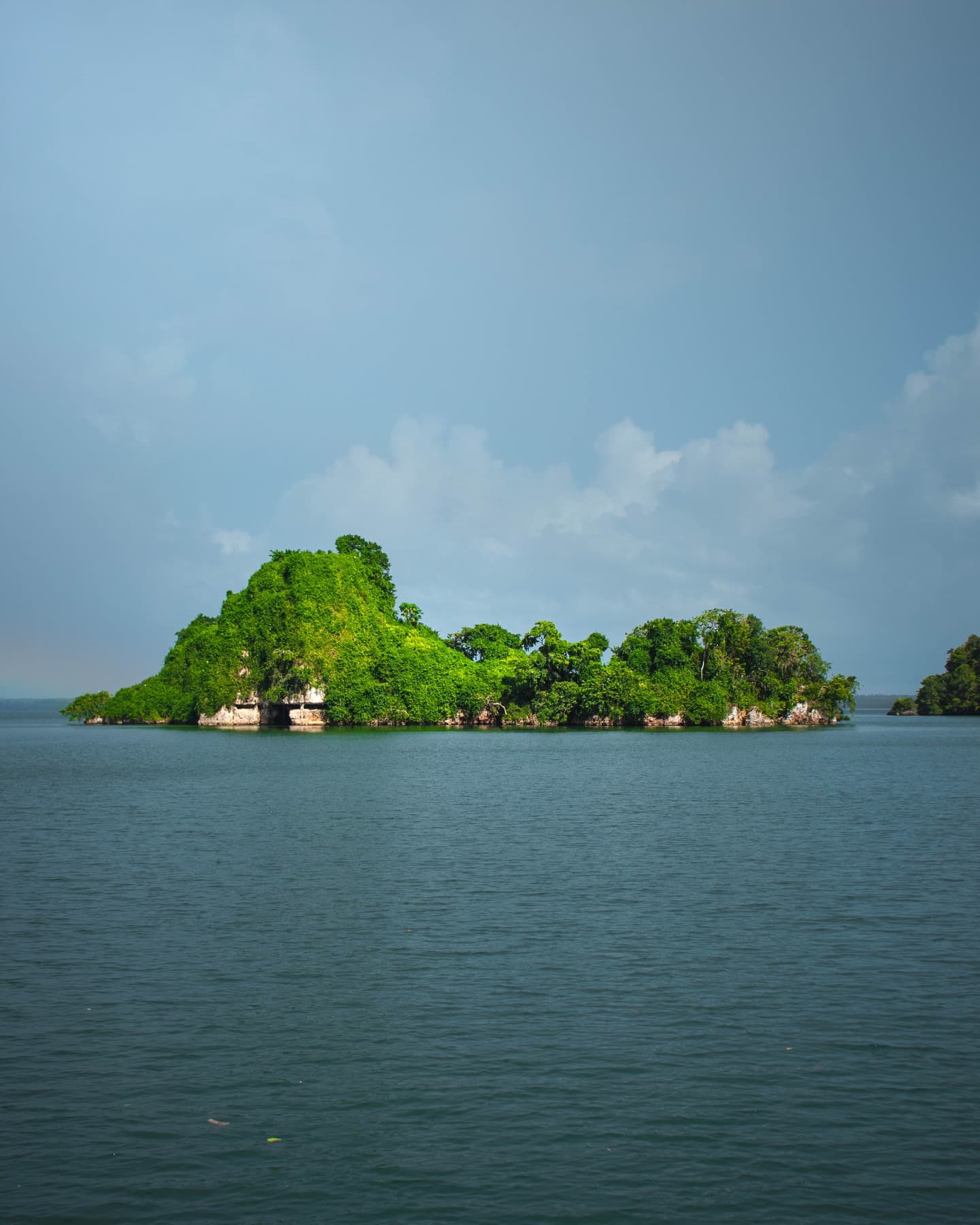 Los Haitises National Park: Private Boat Tour from Caño — Guided tour and outdoor activity