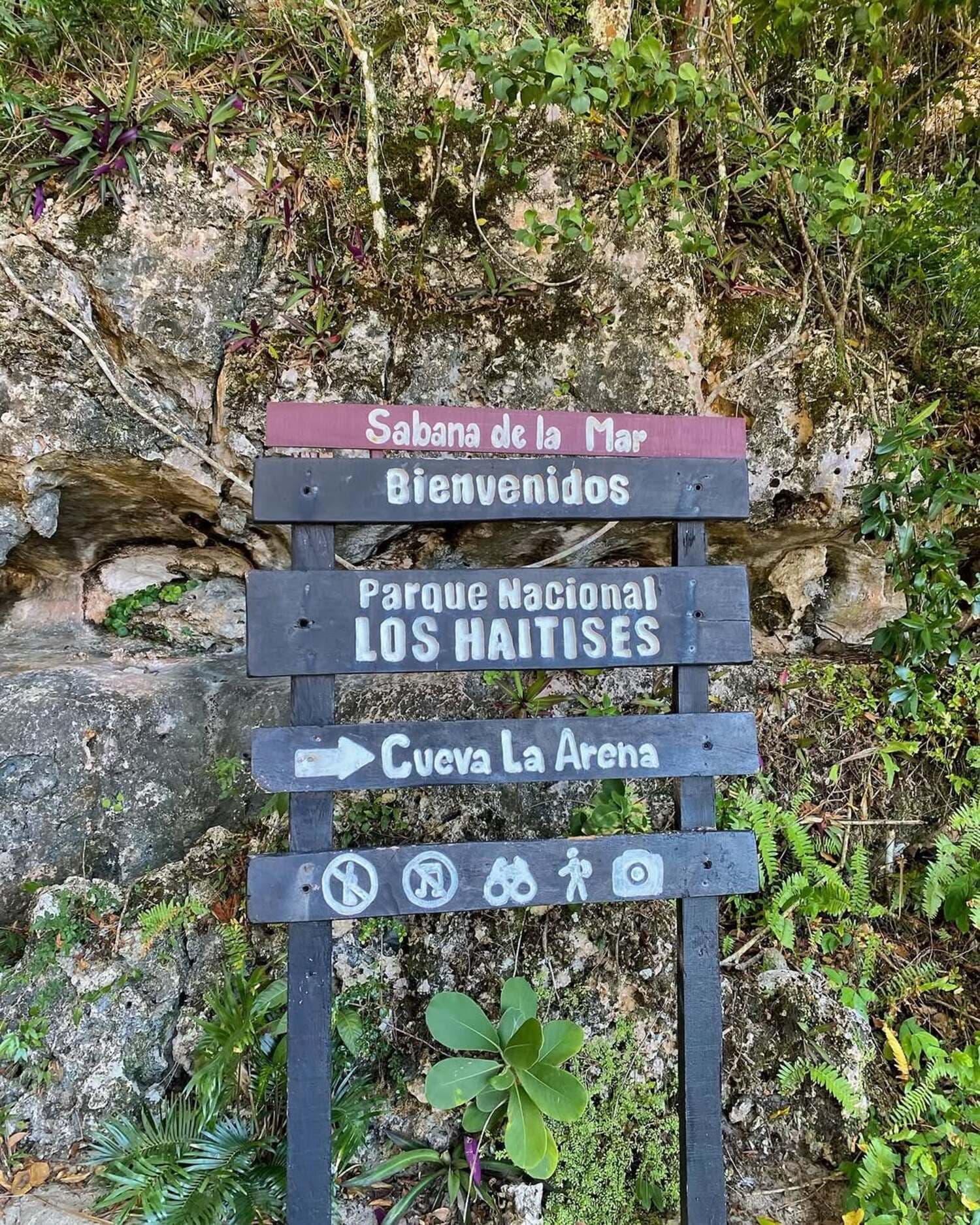 Vwayaj Bato Demi Jounen Los Haitises soti Punta Cana — Guided tour and outdoor activity